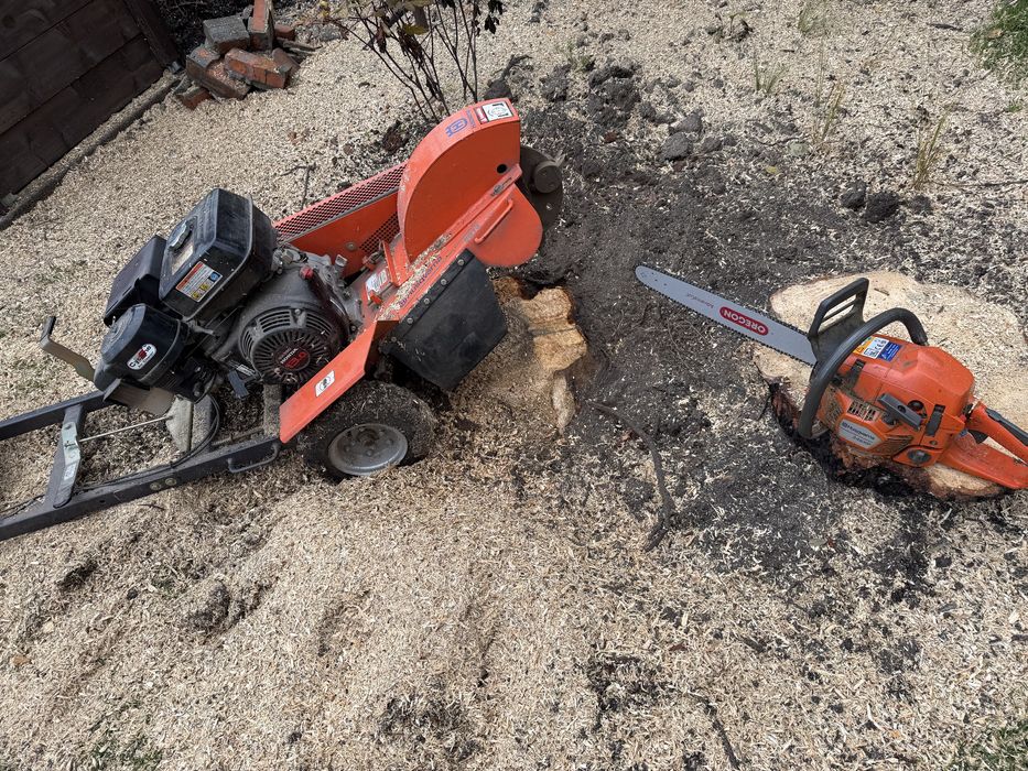 Wycinka alpinistyczna,wycinka drzew, koszenie traw, wycinka drzew