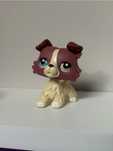 Lps pop unikat collie #1262