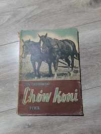 Książka - chów koni