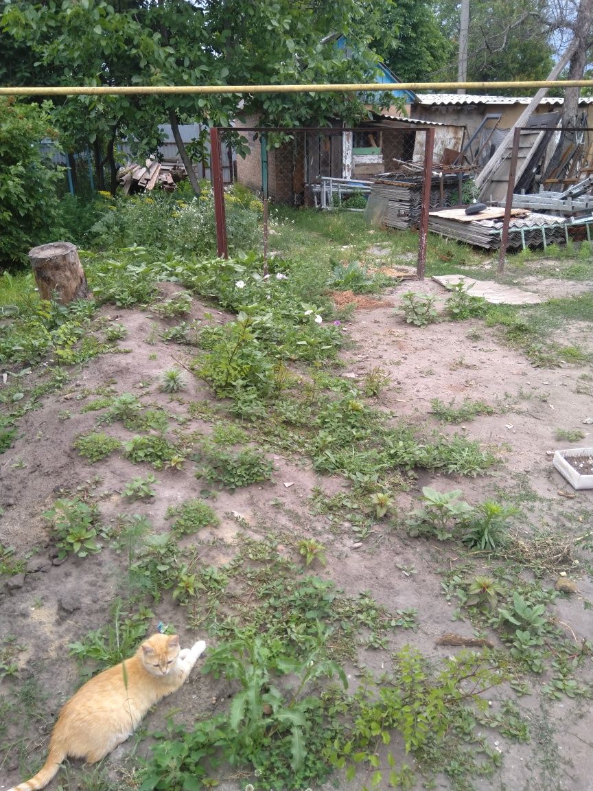 Сдам 2 комн полдома со всеми удобствами!