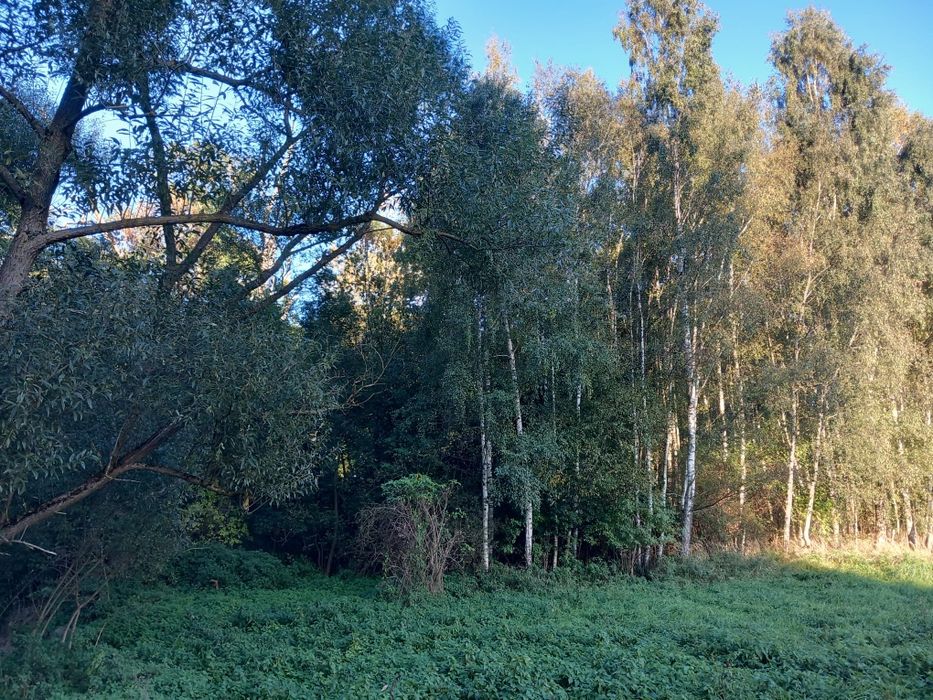 ziemia rolna w Gardei, 27 arów