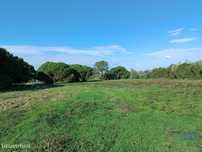 Terreno em Sesimbra (Castelo) de 15600,00 m2