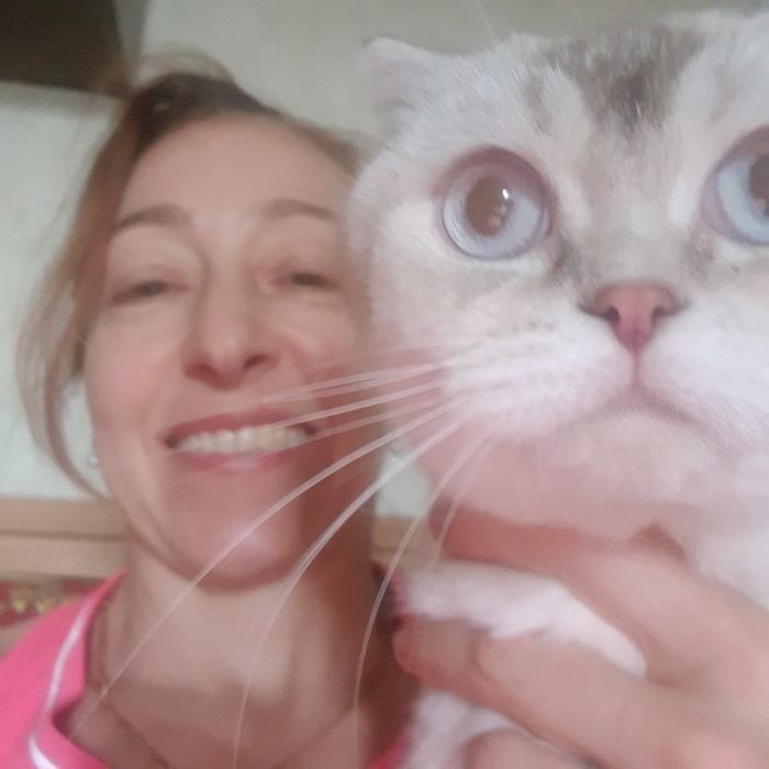 Якісна перетримка/ передержка домашніх улюбленців "Як у себе вдома. Но