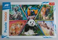 Trefl Animal Planet - puzzle, 1000 elementów