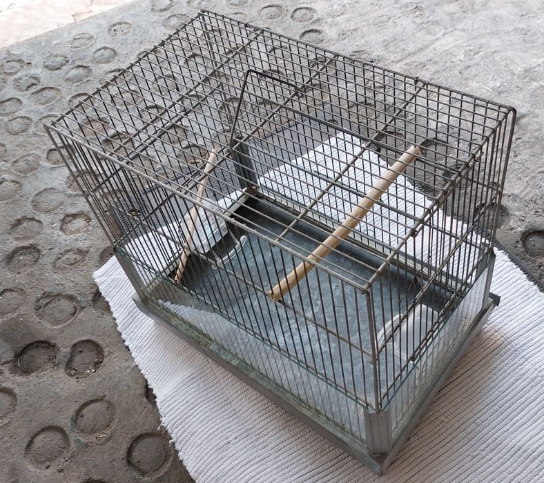 Gaiola  de  metal