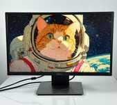 Budżet na Każdą Kieszeń Monitor Dell P2317h FullHD IPS 60Hz Led