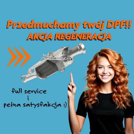 Profesjonalna regeneracja/ czyszczenie filtrów DPF/ FAP