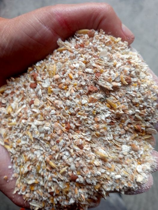 Nowość !!! Mieszanka zboża gniecione dla drobiu,kury kaczki,gęsi,kró