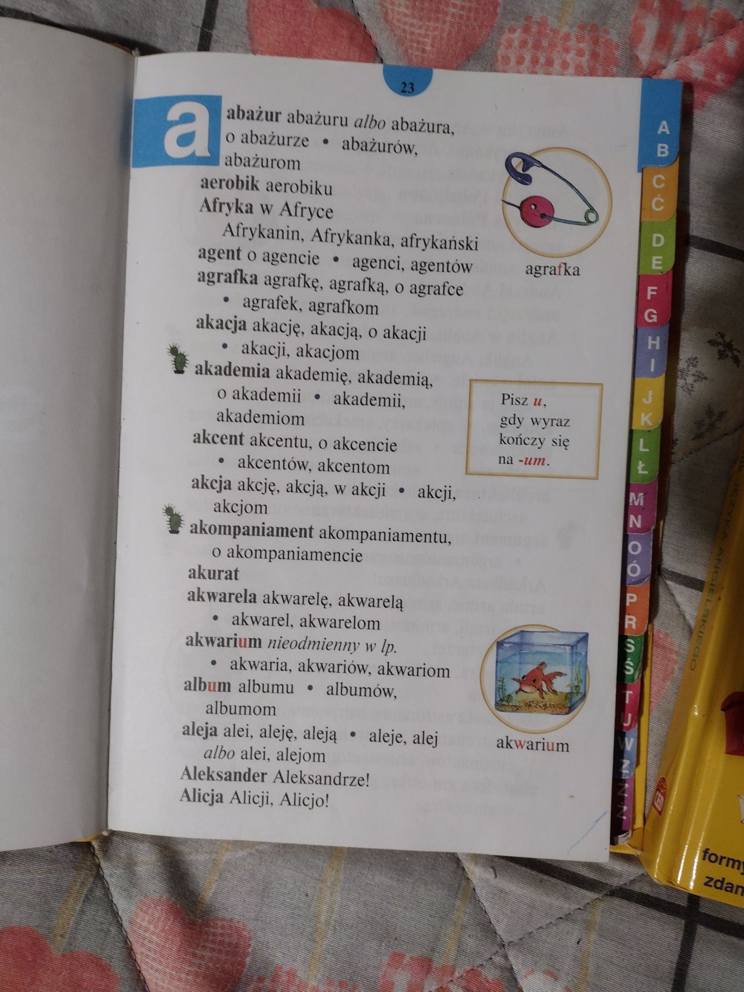 Słownik ortograficzny Wesoła Szkoła, słownik polsko-angielski