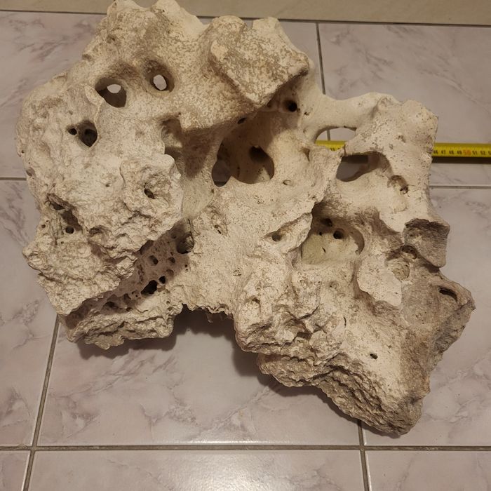 Wapień Filipiński 10kg+