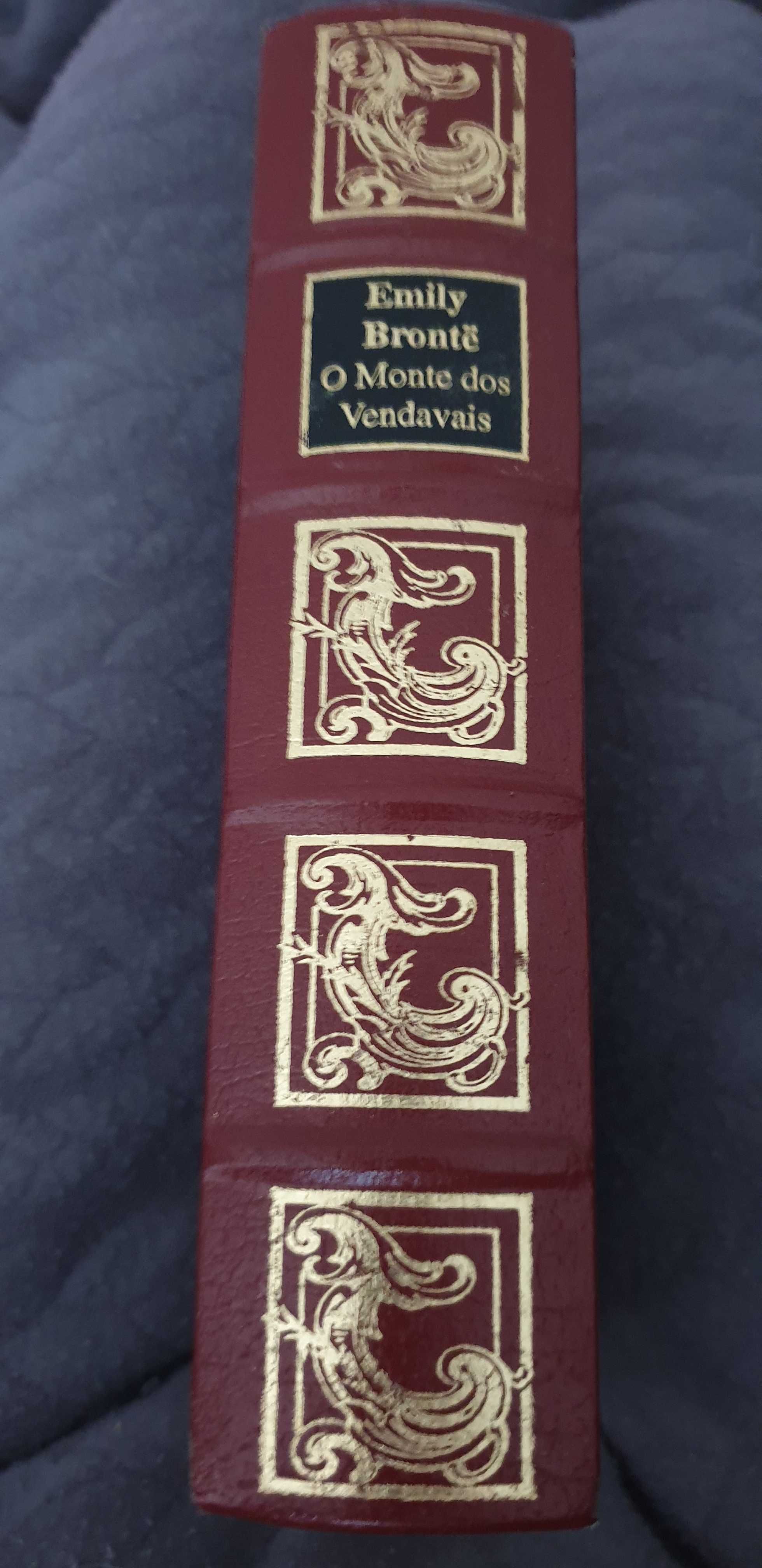 Emily Brontë - O Monte dos Vendavais