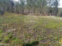 Terreno  para venda