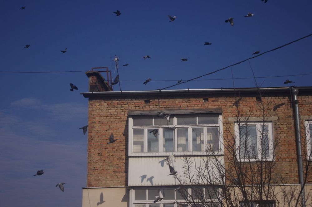 Дзеркальна камера Pentax k-x 18-55