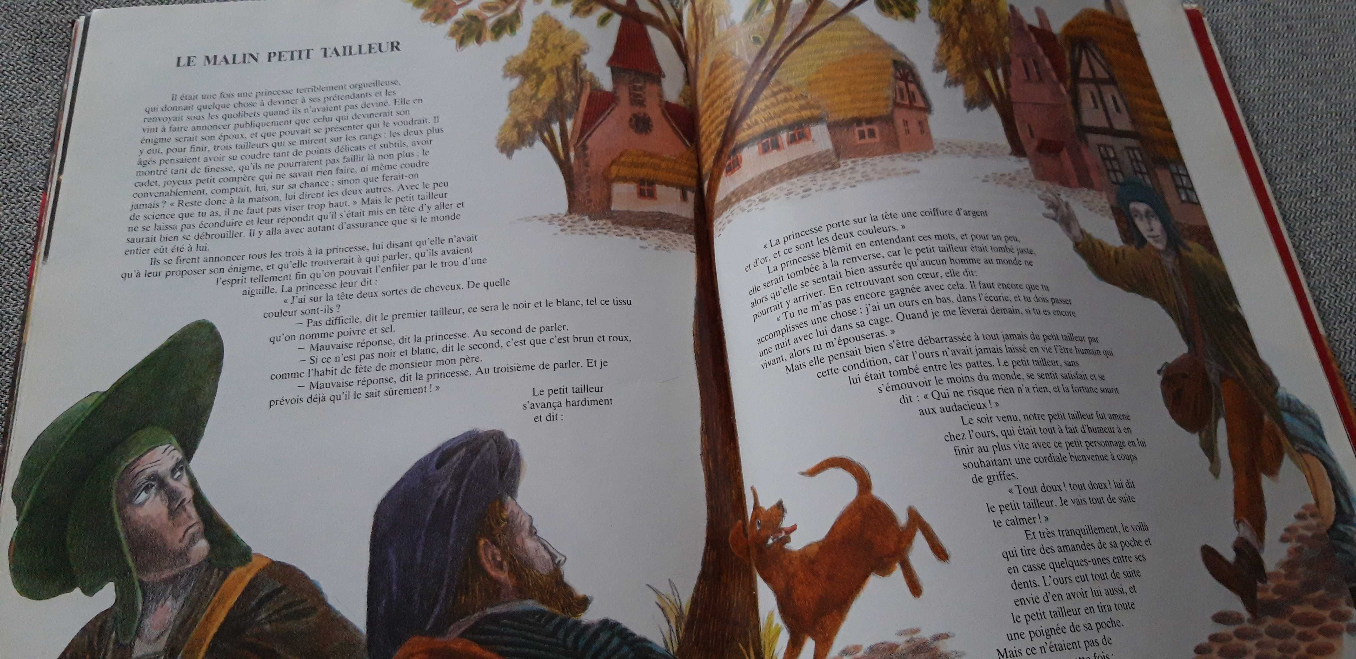 Livro em francês "Contes de Grimm"