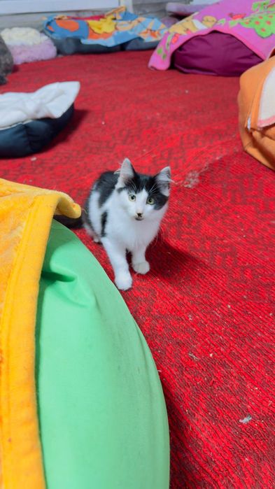 Хлопчик шукає дім