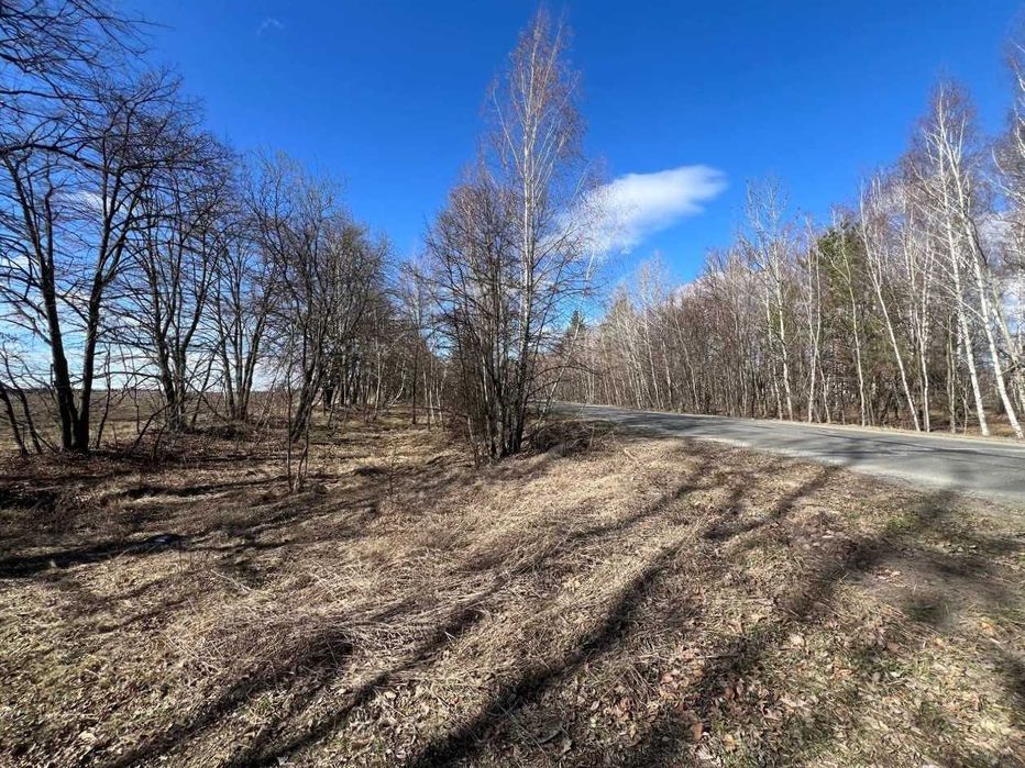 Продаж земельної ділянки 38,59 соток (ОСГ). 50 метрів від траси.ID:678