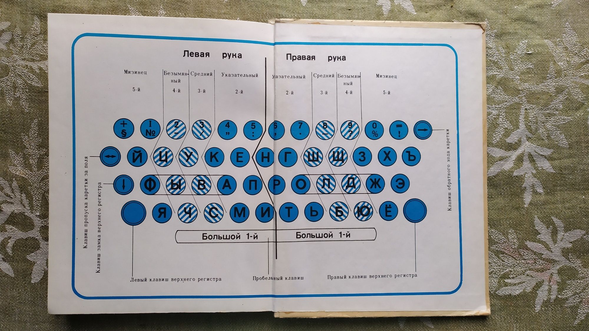 Книга Машинопись и основы делопроизводства