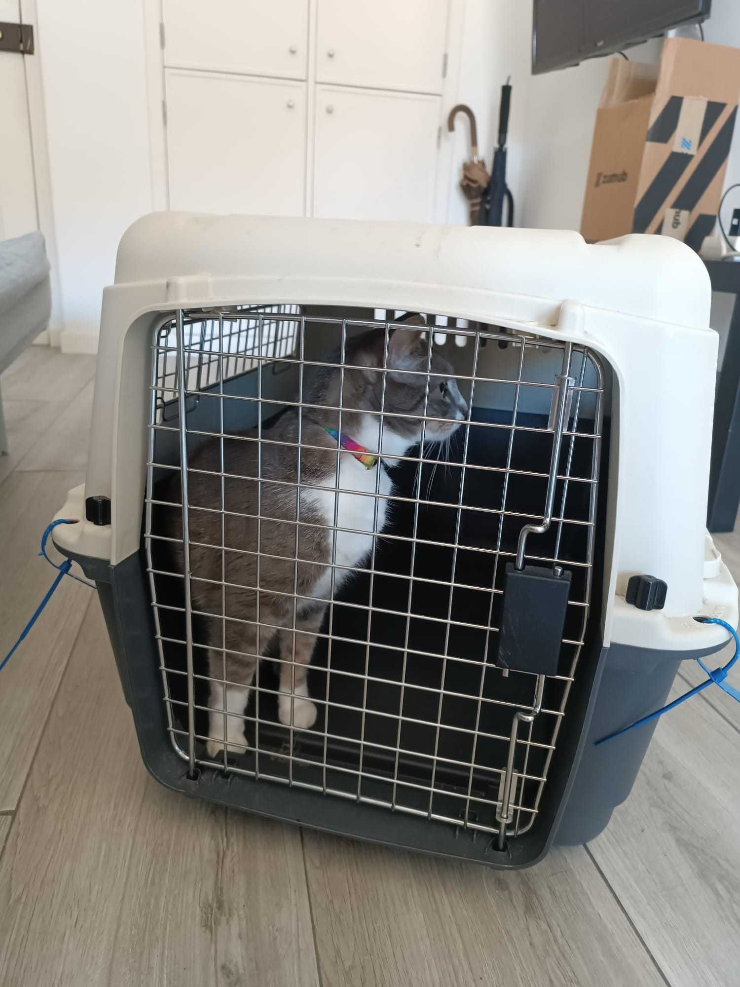 Caixa Transportadora para animais