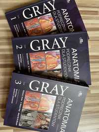 Anatomia Gray  stan idealny nowe wydanie