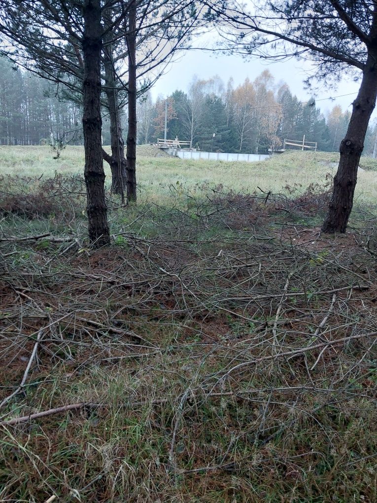 Wydzierżawię działkę z dostępem do rzeki Borsk