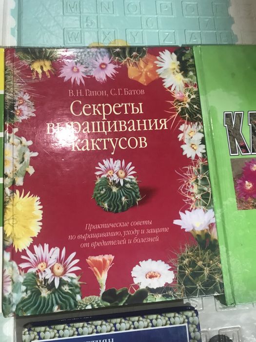 2 Книги про кактуси. Ціна за всі