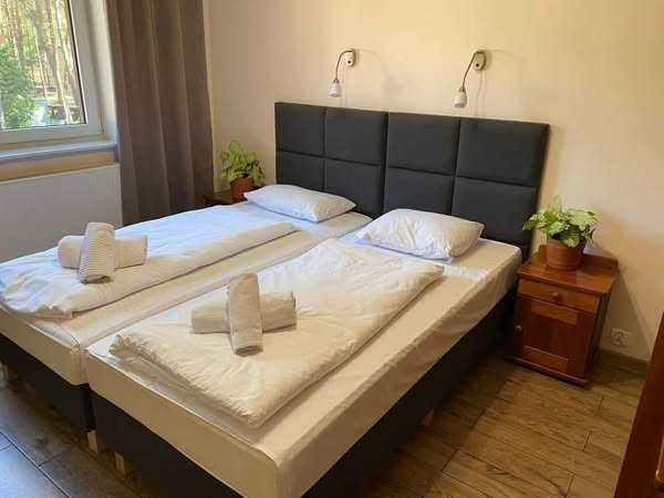 Bal Sylwestrowy, Sylwester, Noclegi ,Pokoje, Domki Wieleń /Boszkowo