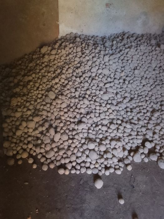 Ziemniaki paszowe odpadowe drobne