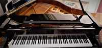 Nowy , profesjonalny fortepian GEBR.SCHULZ GS 151 F vat 23% Promocja