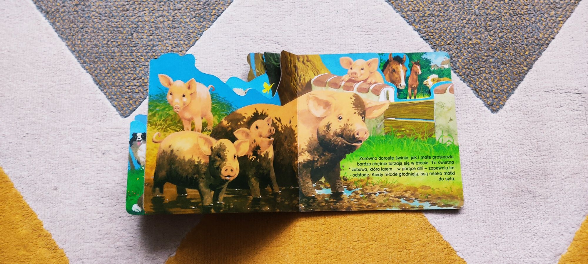 Zwierzęta na wsi książeczka dla malucha