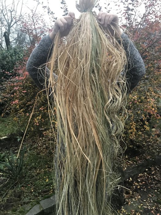 Соломка для пауків, чесаний рогіз, основи , жито , пшениця