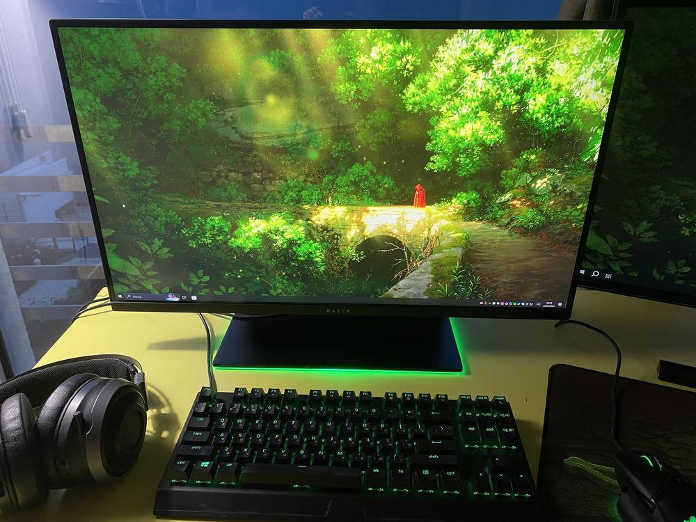 Монітор Razer Raptor