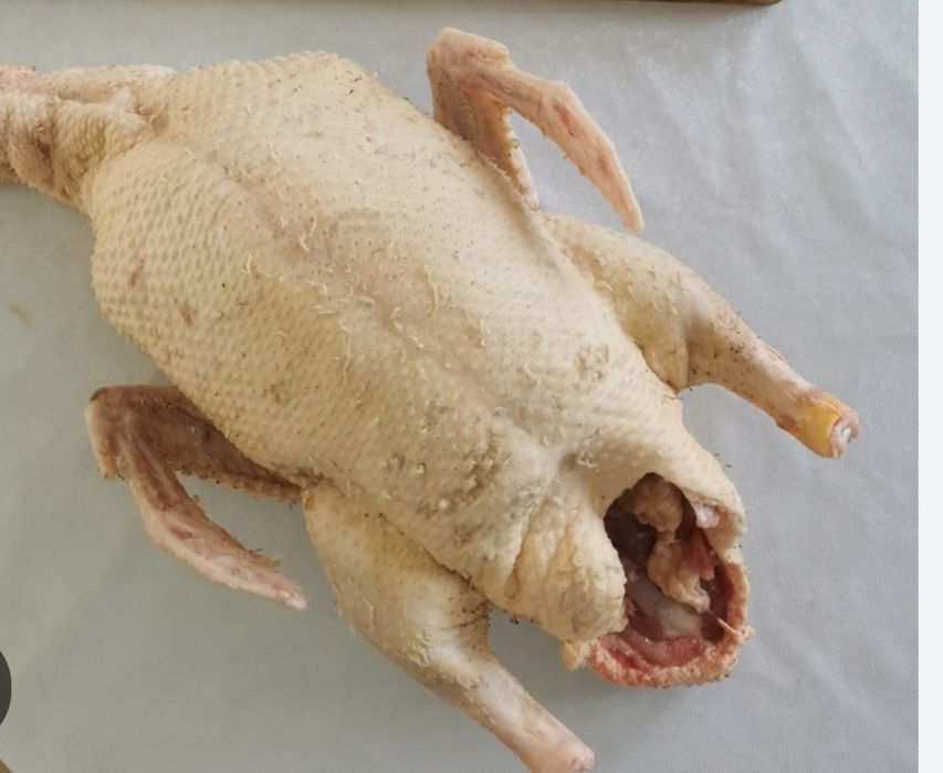 Kaczka, tuszka kaczki, drób