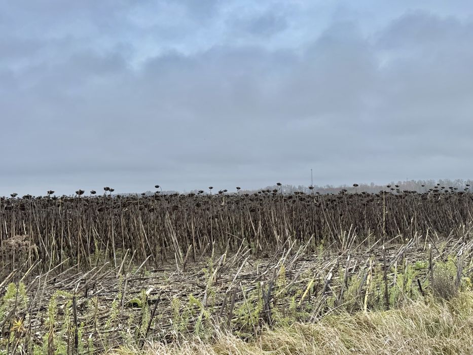 Земельна ділянка 20,17 га! с.Небелиця