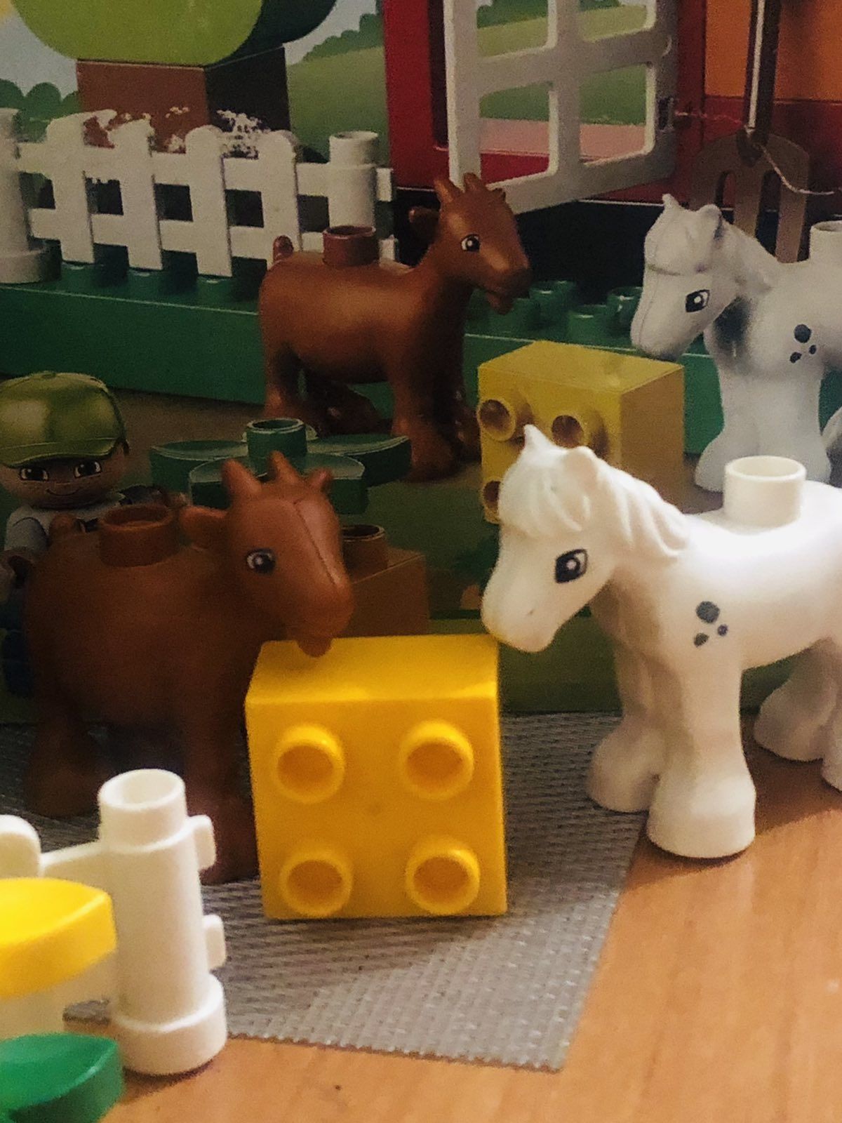 Lego duplo Зоопарк + Подарок лего дупло