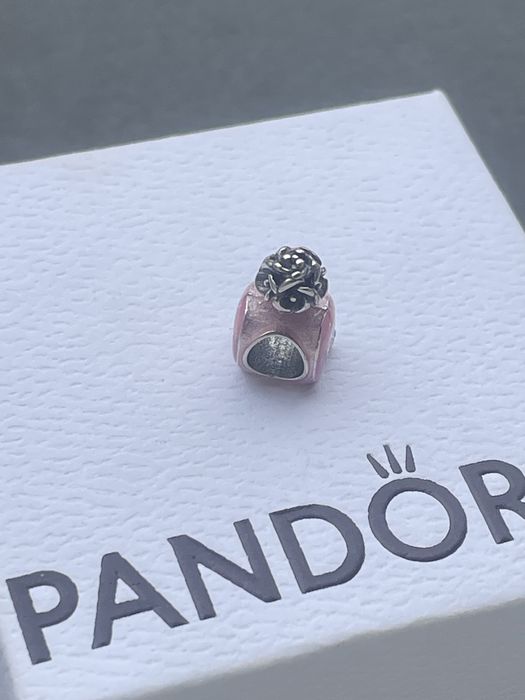 Pandora charms.  .