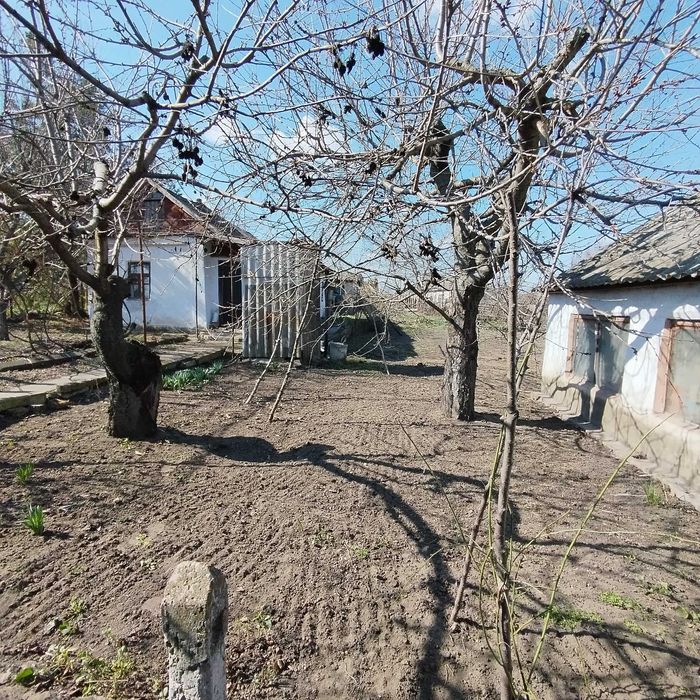 Продам будинок, с. Кінецьпіль