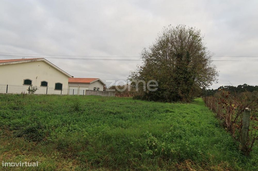 Terreno para construção com 1300m2