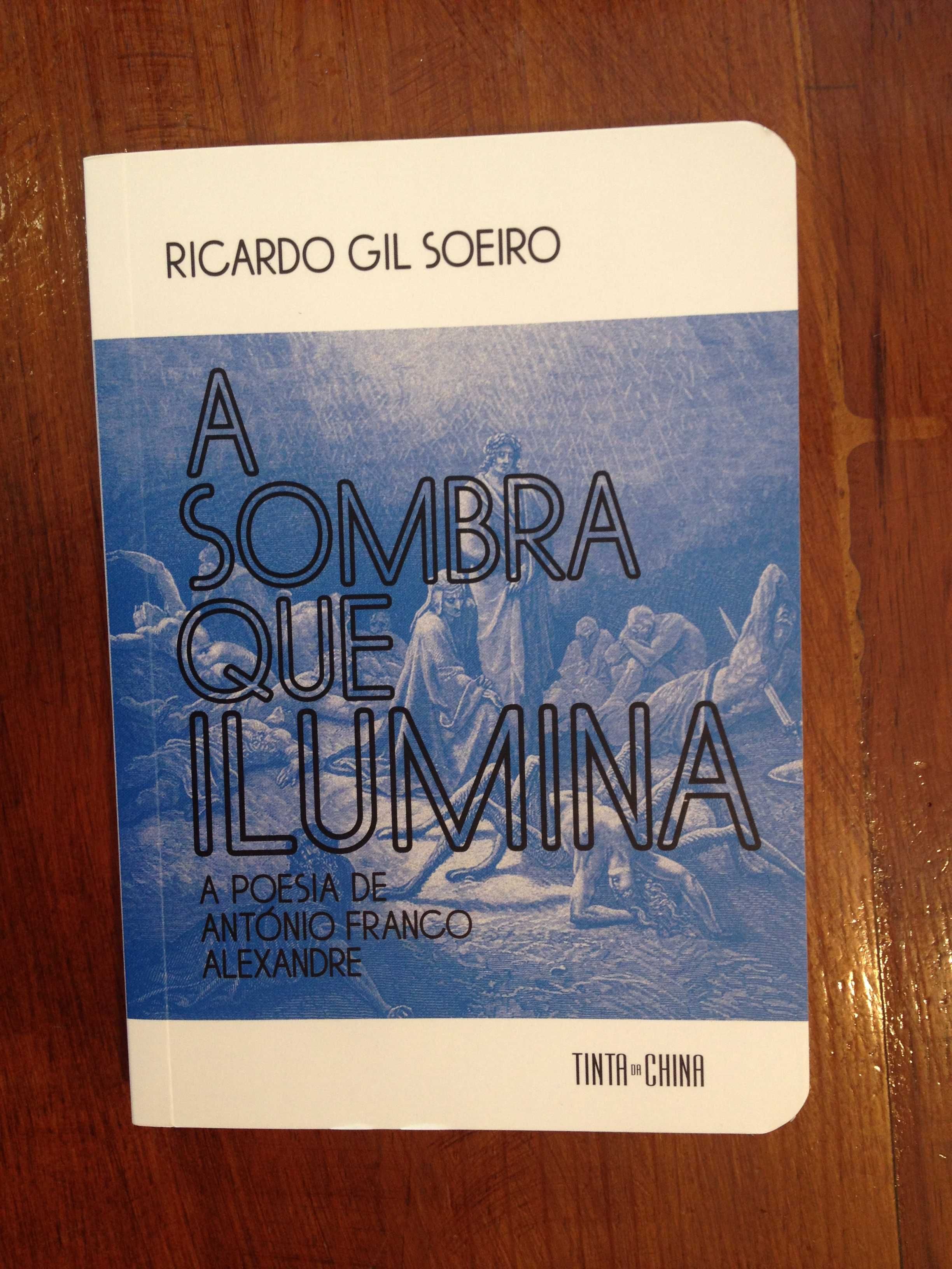 Ricardo Gil Soeiro - A sombra que ilumina