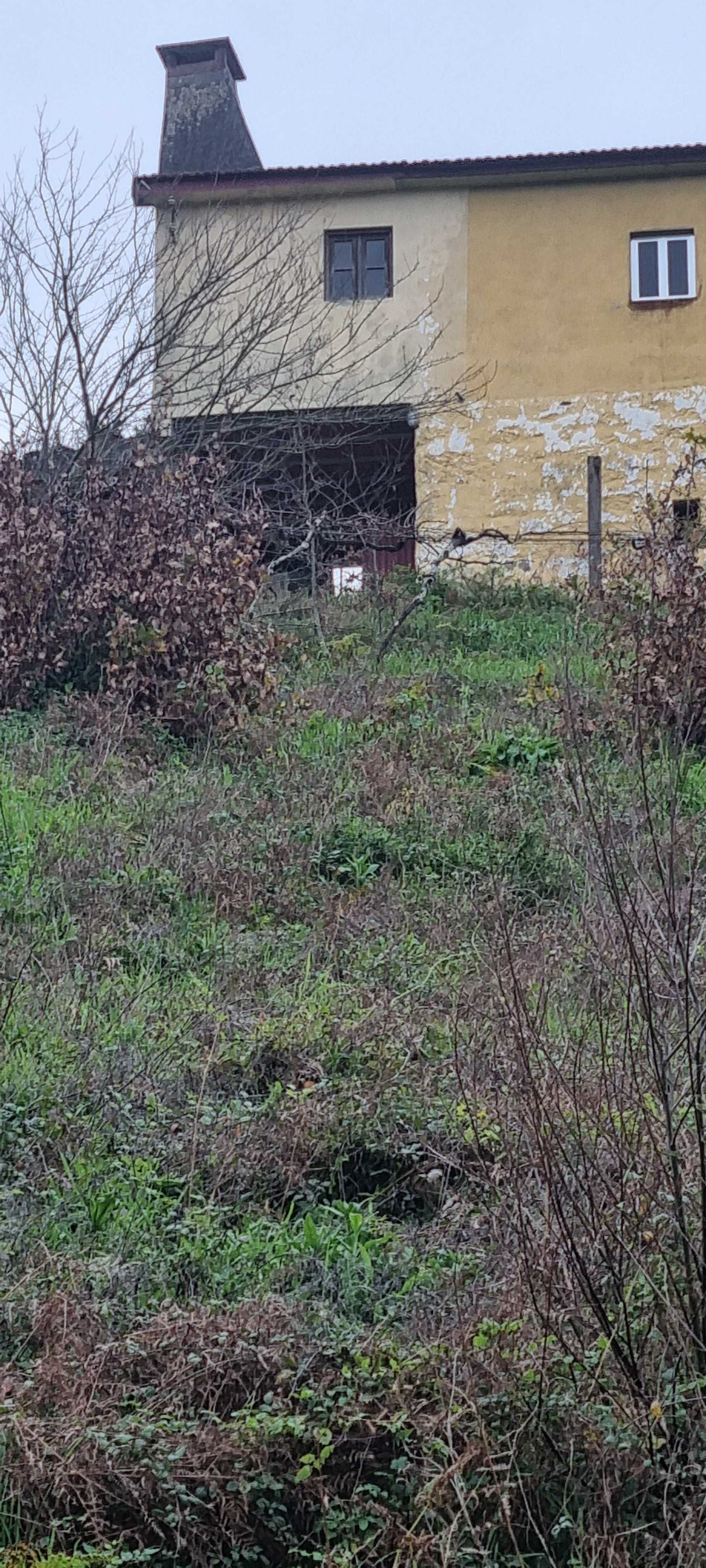 Terreno com Casa e Quinta para Venda em Cinfães – com vista para o rio