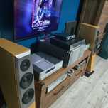 Neeper acoustics perfection one