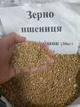 Пшениця Кукуруза Овес