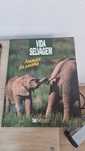 Vida selvagem animais da savana