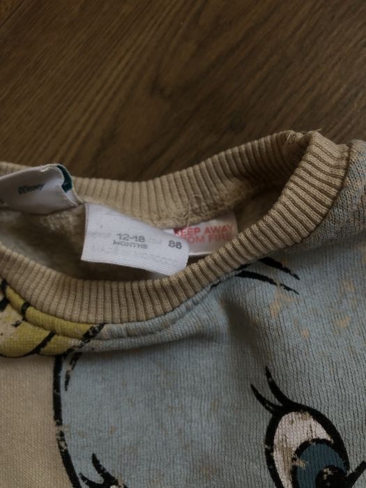 Кофта худі Dambo Zara на флісі 86