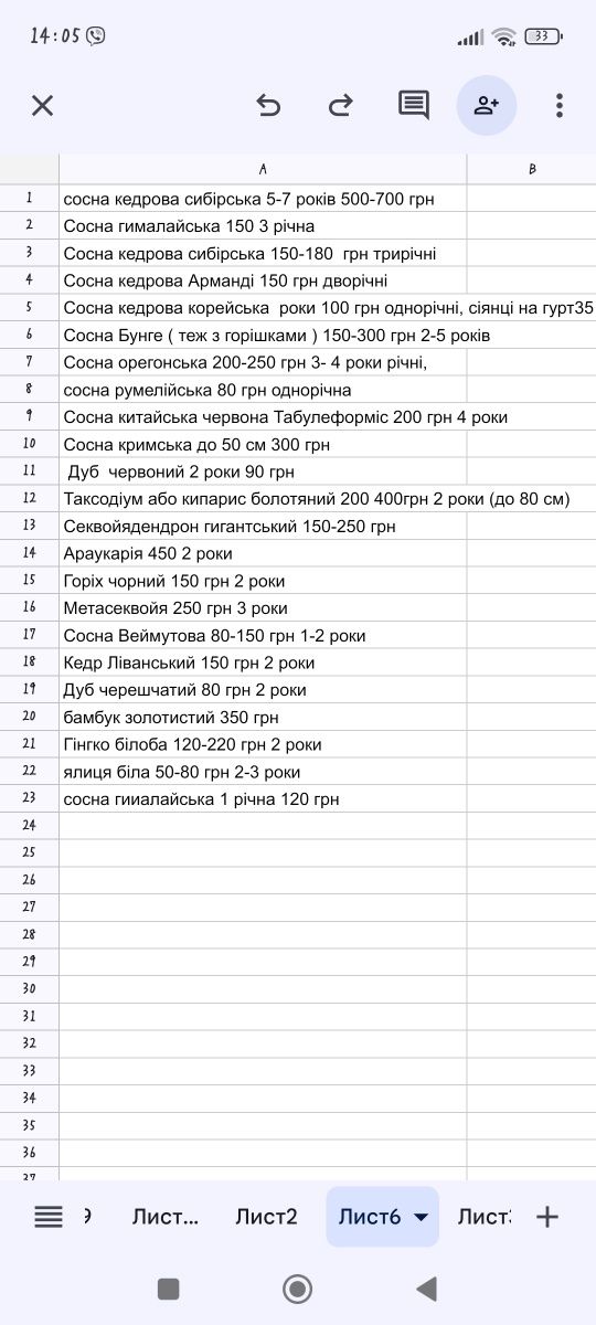 Кедрова сибірська сосна саджанці