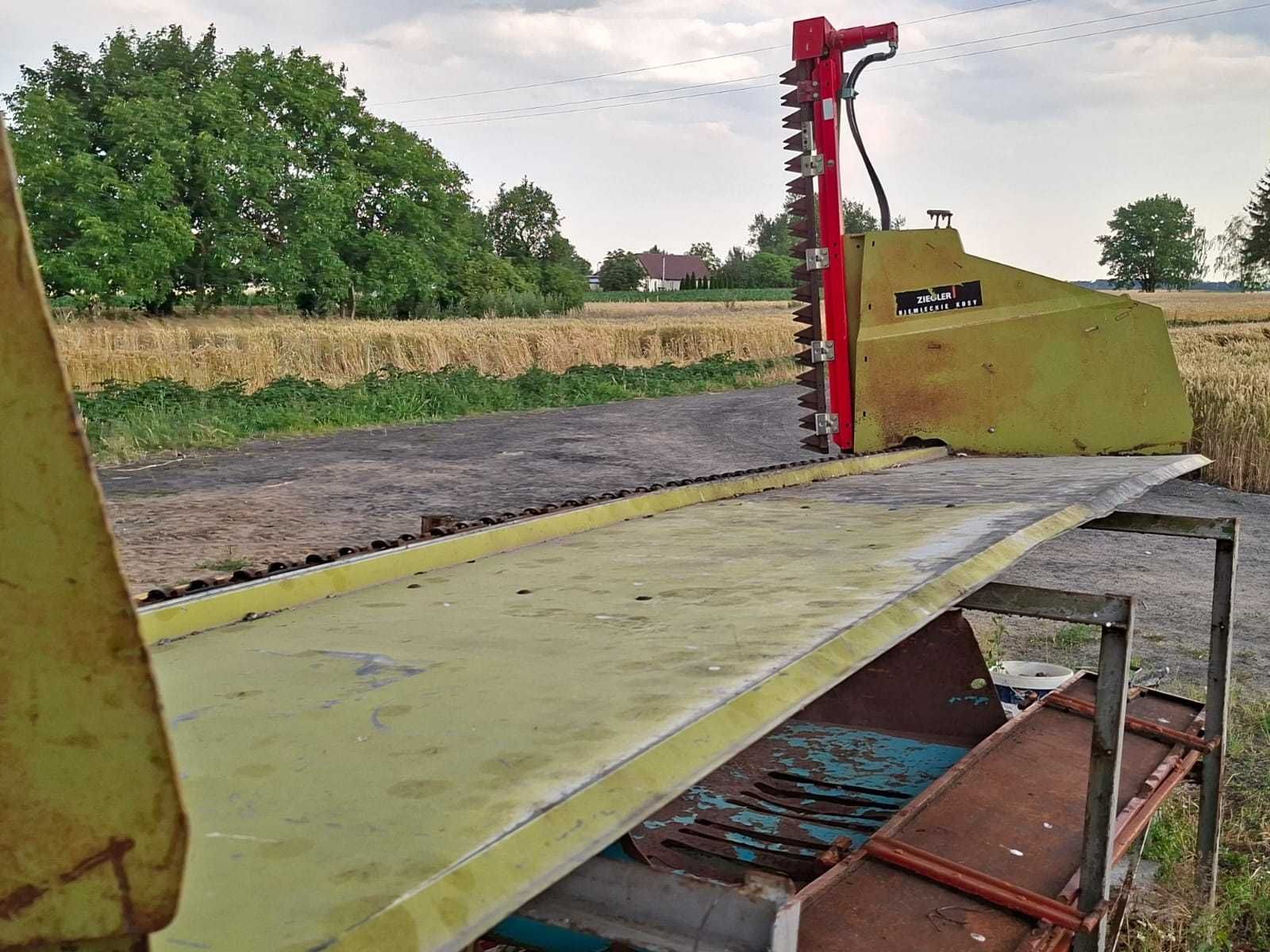 Stół do rzepaku Claas C430 [Avero, Tucano]