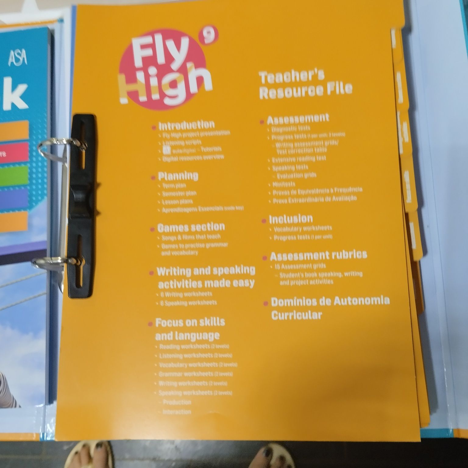 Dossiês do professor do 9° ano de inglês