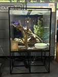 Terrarium szklane ze stelażem + oświetlenie i wystrój