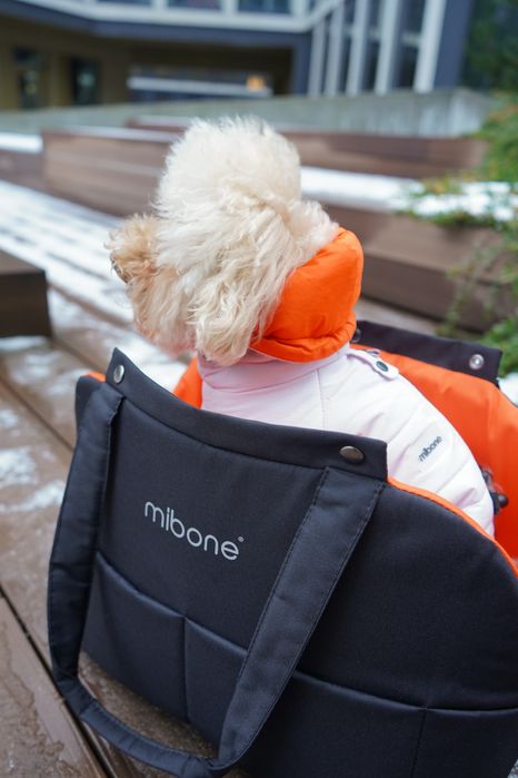 Zimowy kombinezon da psa, ręcznie szyty (szary, lilowy)