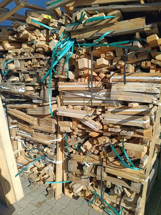 Drzewo za darmo Skawina