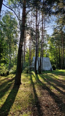 Działka z warunkami zabudowy w lesie 2620 m² Kontrewers gm. Dalików